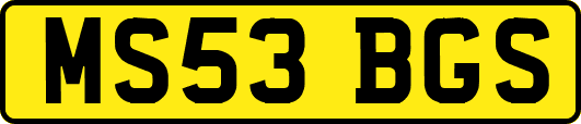 MS53BGS