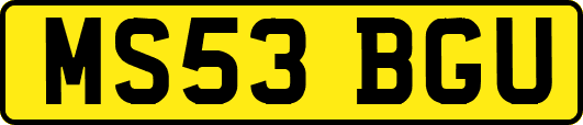 MS53BGU