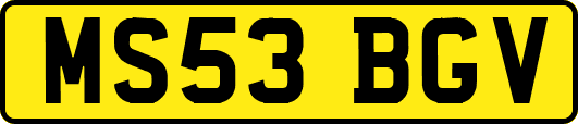 MS53BGV