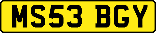 MS53BGY