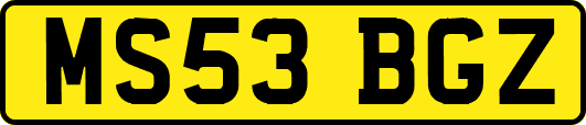 MS53BGZ