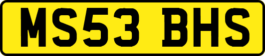MS53BHS