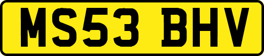 MS53BHV