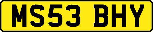 MS53BHY