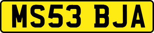 MS53BJA