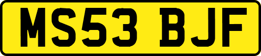 MS53BJF