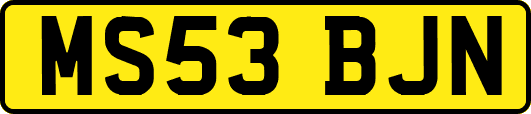 MS53BJN