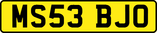 MS53BJO