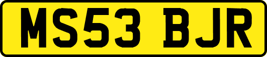 MS53BJR
