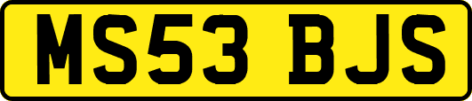 MS53BJS