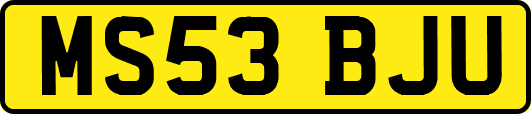MS53BJU