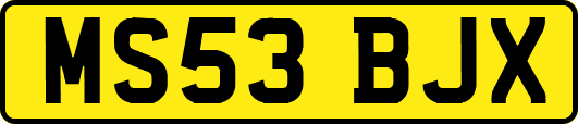 MS53BJX