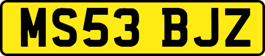 MS53BJZ