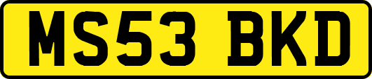 MS53BKD