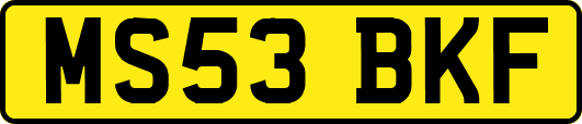 MS53BKF