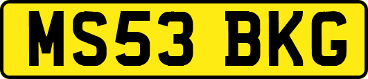 MS53BKG