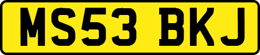 MS53BKJ