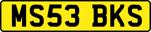 MS53BKS