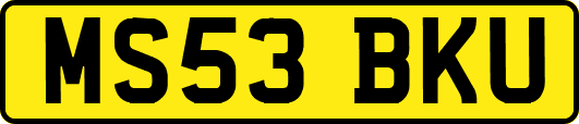 MS53BKU