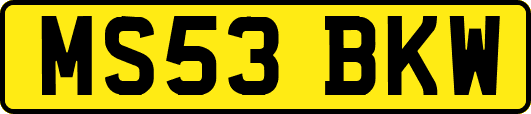 MS53BKW