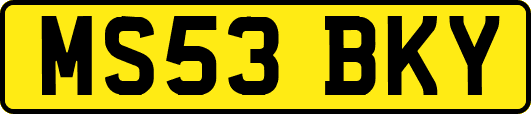MS53BKY