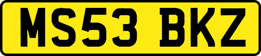 MS53BKZ