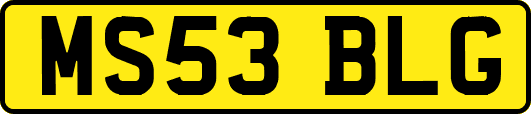 MS53BLG
