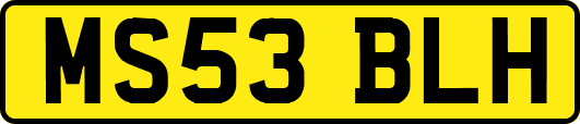 MS53BLH