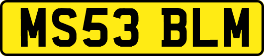 MS53BLM