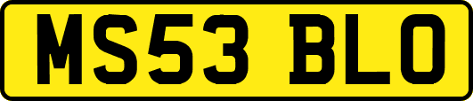 MS53BLO