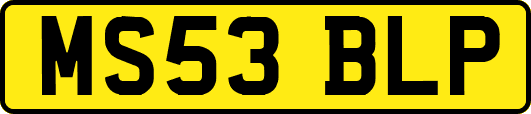 MS53BLP