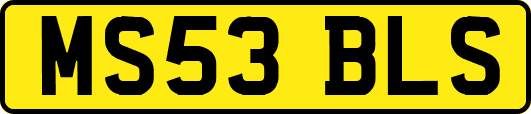 MS53BLS