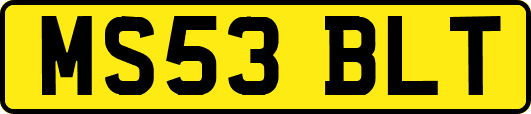 MS53BLT