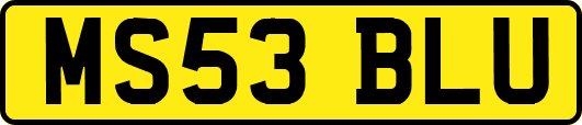 MS53BLU
