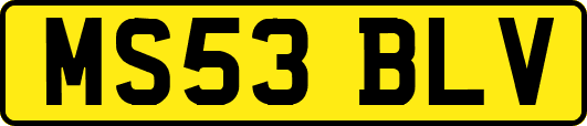 MS53BLV