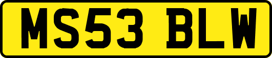 MS53BLW