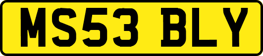 MS53BLY