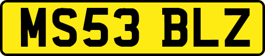 MS53BLZ