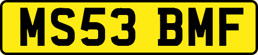 MS53BMF