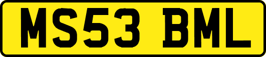 MS53BML