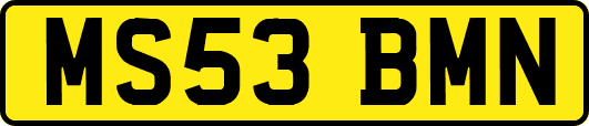 MS53BMN