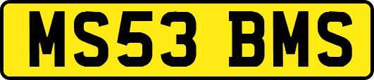 MS53BMS