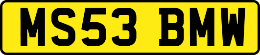 MS53BMW