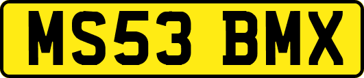 MS53BMX