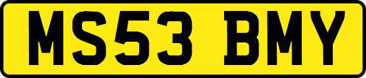 MS53BMY