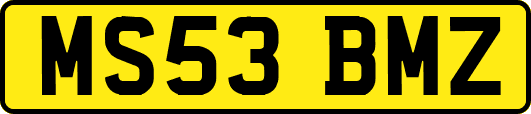 MS53BMZ