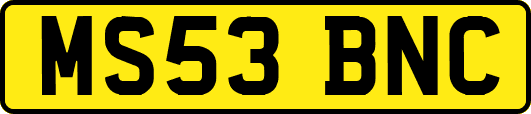 MS53BNC