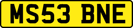 MS53BNE