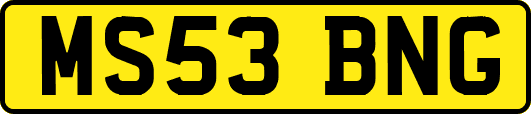 MS53BNG