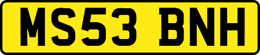 MS53BNH